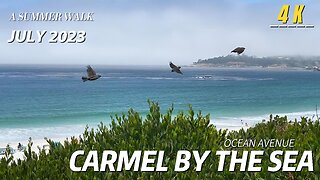 This is the reality of life in Carmel, CA!