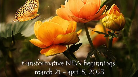 Transformative NEW Beginnings during the Aries New Moon! #horoscope #astrology #zodiac #newmoon