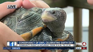 Conservancy of Southwest Florida holds Earth Day Festival on Saturday