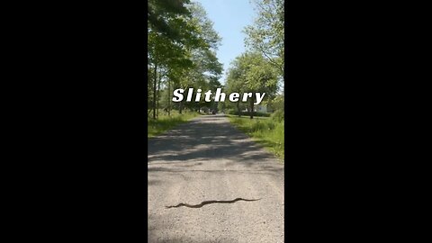 Slithery Encounter – Jeep Cherokee XJ -Rat Snake?