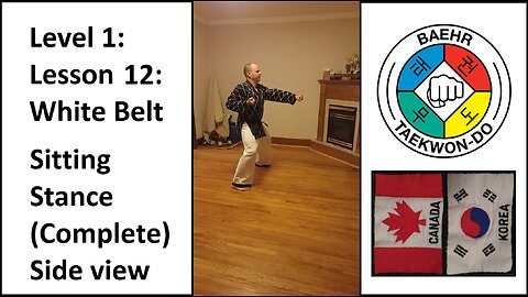 Baehr Taekwondo: 01-12: White Belt: Sitting Stance - Complete (Side View)