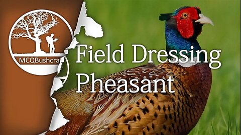 Field Dressing Game: Pheasant Whole Bird