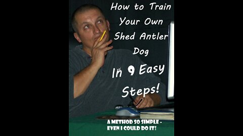 How to Train Your Very Own Shed Dog