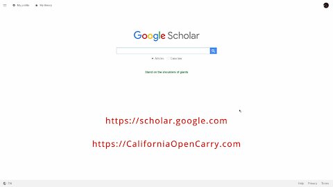 Free Case Law at Google Scholar