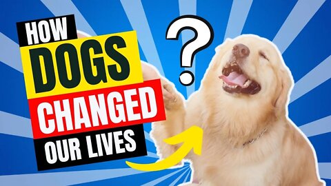 How Dogs changed the course of our lives