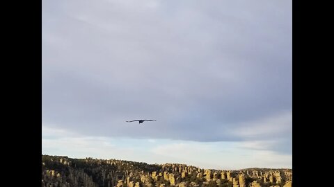 Chiricahua National Monument Hike On A Sunday Morning At Sunrise: Part 3