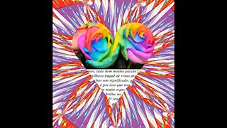 Bom dia meu amor, trouxe um buquê de rosas arco-íris, eu te amo! [Mensagem] [Frases e Poemas]