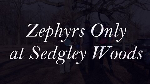 Zephyrs Only at Sedgley Woods - Back 9