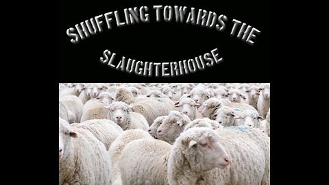 Shuffling towards the slaughter house