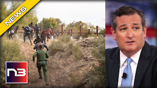 Ted Cruz Ruins Democrat Immigration Plans With A Single Statement