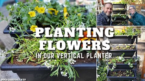 🌼 Planting Flowers in Our Outdoor Vertical Planter - SGD 359 🌼
