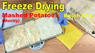 Freeze Drying 8 lbs of Mashed Potatoes - Batch 655 (plus 2 other things)