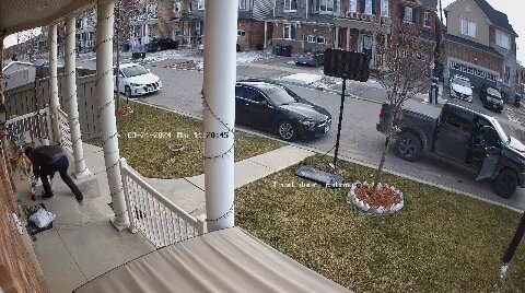 Package thieves in Brampton