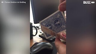 Il mago sta tagliando la banconota o la carta?
