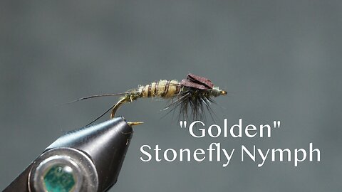 “Golden” Stonefly Nymph (Fling & Puterbaugh 27/30)