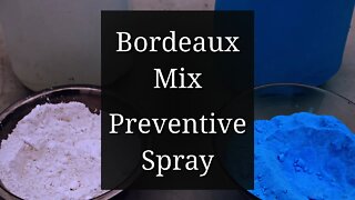 Bordeaux Mixture Preparation: Preventive Spray for black spot & other plant diseases