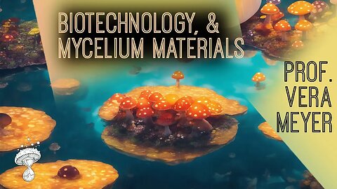 Biotechnology, Mycelium Materials & The "Art, Science, Society Triad" | Prof. Vera Meyer