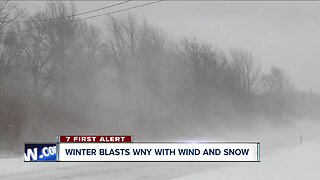 Wind and snow impact southern Erie County