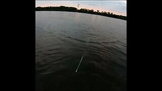 cast netting the river