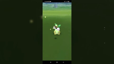 Pokémon GO-Dawn Hat Turtwig