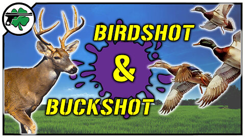 Shotgun Shells EXPLAINED: Birdshot 🦆 Buckshot 🦌 Slugs for Sport & Hunting
