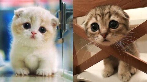 Cute caty 😍!!