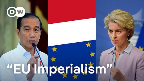 Why Indonesia is pushing back against EU rules | DW News