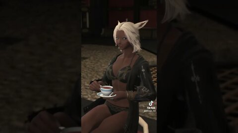 Brought to you by the East Aldenard Trading Company - FF XIV Shorts