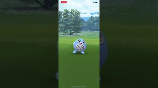 Shiny Poliwag