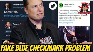 Elon Musk Has A Fake Blue Checkmark Problem