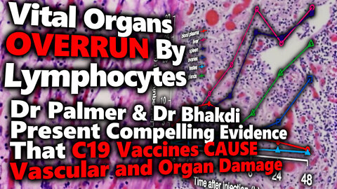 Dr. Bhakdi & Dr. Palmer - Compelling Evidence That C19 Vaccines CAUSE Vascular and Organ Damage