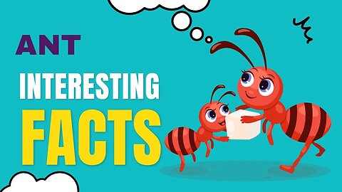 Ant Facts#ant #ant life #facts #truestory #truefacts #truewords #insects #interesting #knowledge