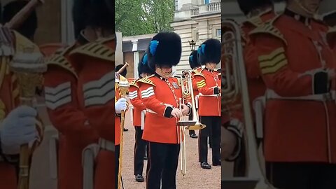 Irish guards Buckingham Palace music band #horseguardsparade