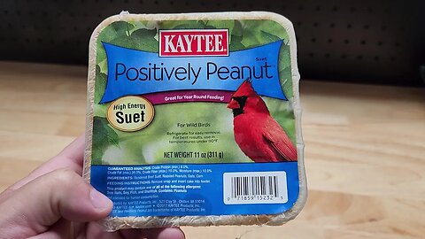 What Birds Are Attracted To KAYTEE Positively Peanut Suet?