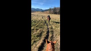 Elk hunting in the Rockies!