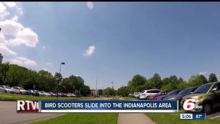 Bird scooters are available in downtown Indy, Irvington and along Mass Avenue