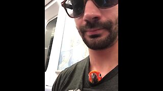 Parrot chills inside owner's shirt during subway ride