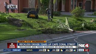 Reckless driver tears up Cape Coral neighborhood