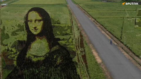 Sedam nijansi „Mona Lize“: Tajna pirinčanog polja u Japanu