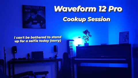 Waveform 12 Pro Cookup 🎧 12.07.2023