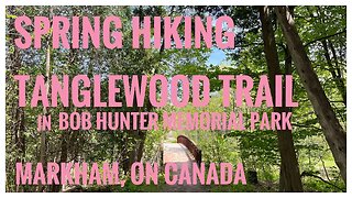 Tanglewood Trail |Bob Hunter Memorial Park |Beautiful Ground Cover Plants |Hiking Vlog |Toronto,🇨🇦