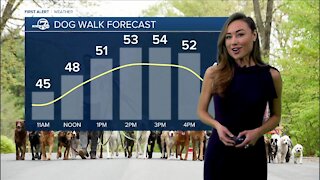 Saturday's Forecast: Sunny and Milder across Colorado