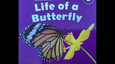 Life of a Butterfly | Little Readers