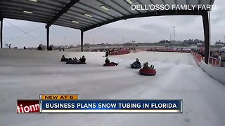 A local company hopes to build Florida's first snow park