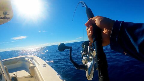Testing the Saragosa Reel on Big Fish