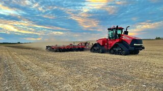 Tillage Time On Black Bean Ground With The New Salford 4200!!