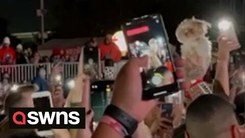 Moment dog owner holds their PET up in crowd at Astroworld festival