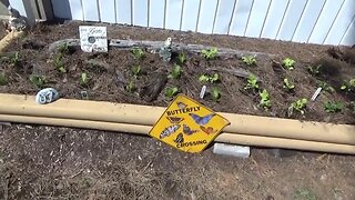 Hauling Free Compost For My Organic Homestead Garden