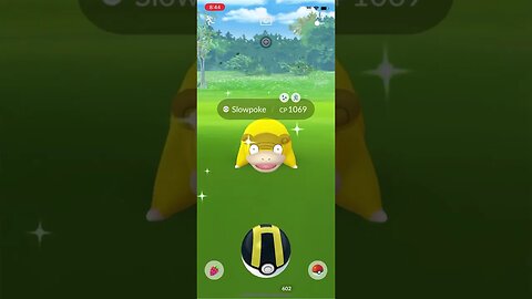 Shiny Compilation