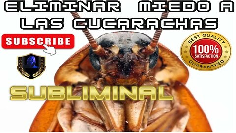 Eliminar Miedo a las Cucarachas Blatofobia/katsaridafobia Subliminal 2023